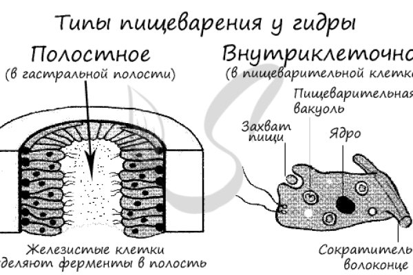 Kraken 19 at сайт