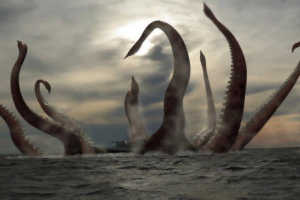 Kraken 25at