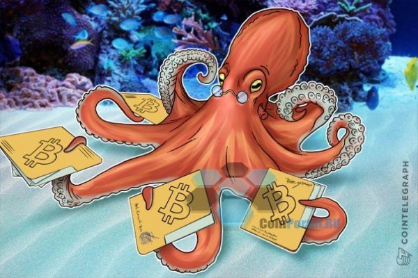 Kraken 12 att