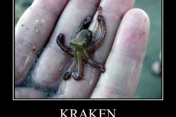 Krakin12 at