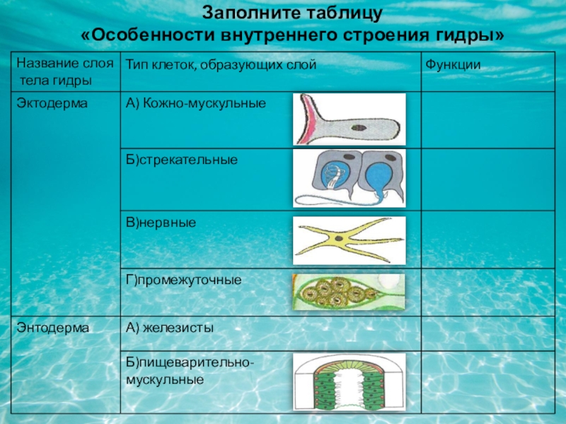 Кракен аватарка маркетплейс